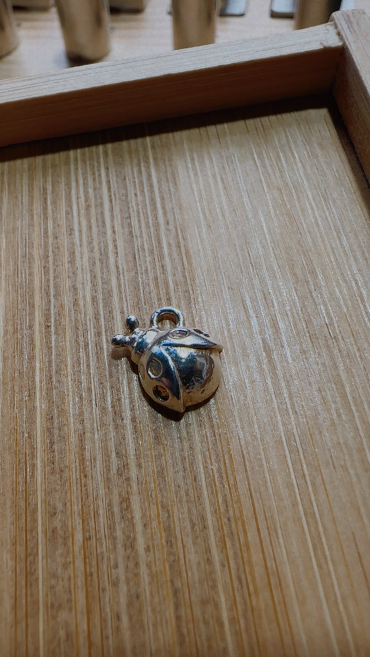 Ciondolo coccinella