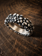 Anello Bolle
